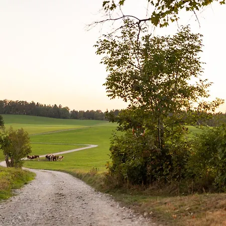 Apartment Vogelbauer - Veiglberg