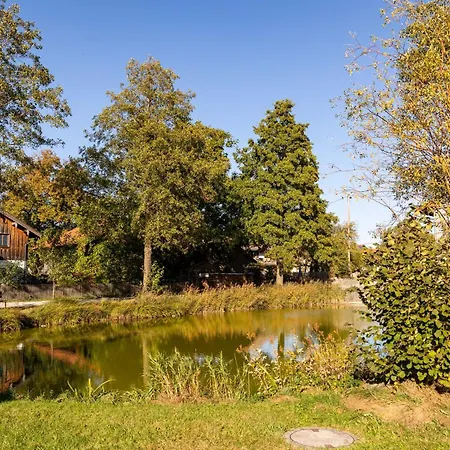 Vogelbauer - Veiglberg