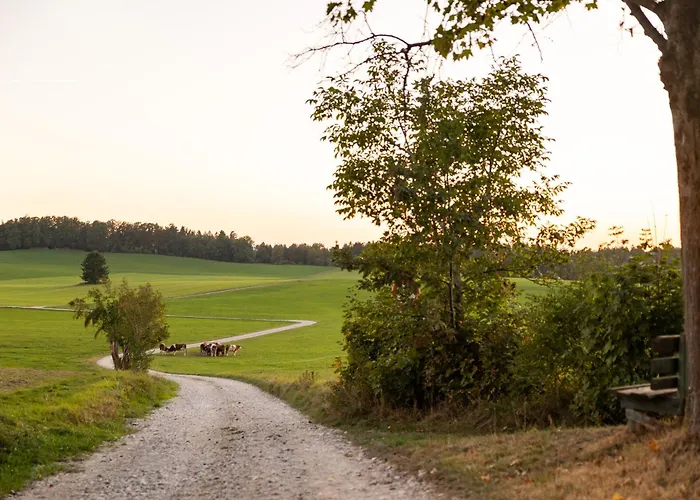 Apartment Vogelbauer - Veiglberg